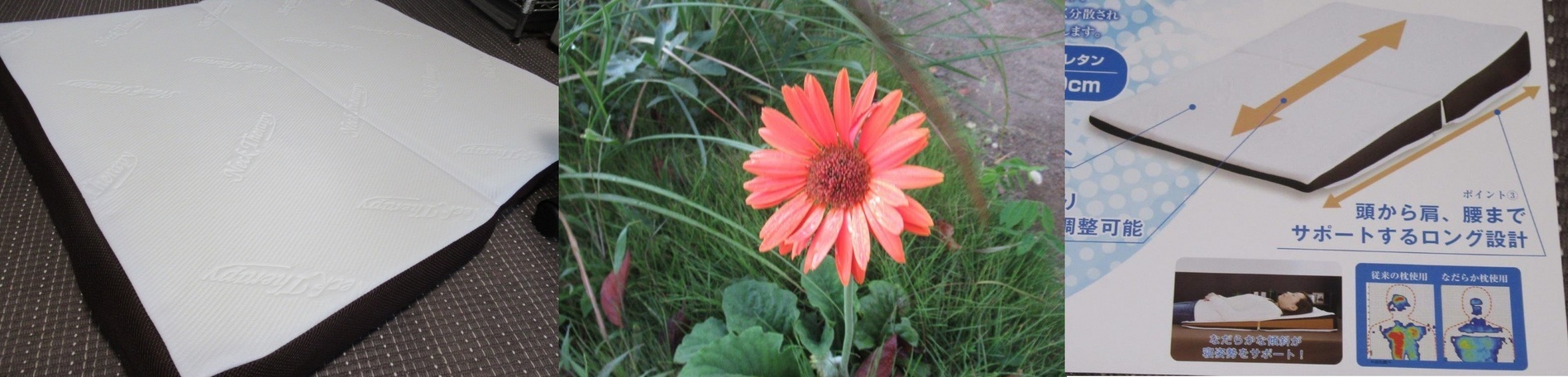 60�� �Ȃ�悤�ɂȂ邳�I�Ȃ�Ƃ��Ȃ邳�I�Ȃ�Ƃ����邳�I