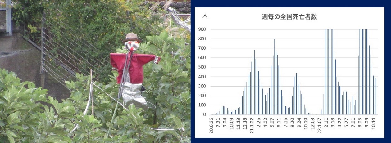 60�� �Ȃ�悤�ɂȂ邳�I�Ȃ�Ƃ��Ȃ邳�I�Ȃ�Ƃ����邳�I