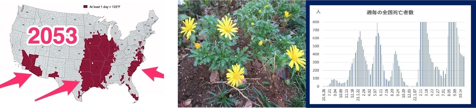 60�� �Ȃ�悤�ɂȂ邳�I�Ȃ�Ƃ��Ȃ邳�I�Ȃ�Ƃ����邳�I