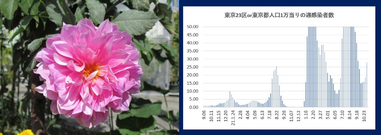 60�� �Ȃ�悤�ɂȂ邳�I�Ȃ�Ƃ��Ȃ邳�I�Ȃ�Ƃ����邳�I