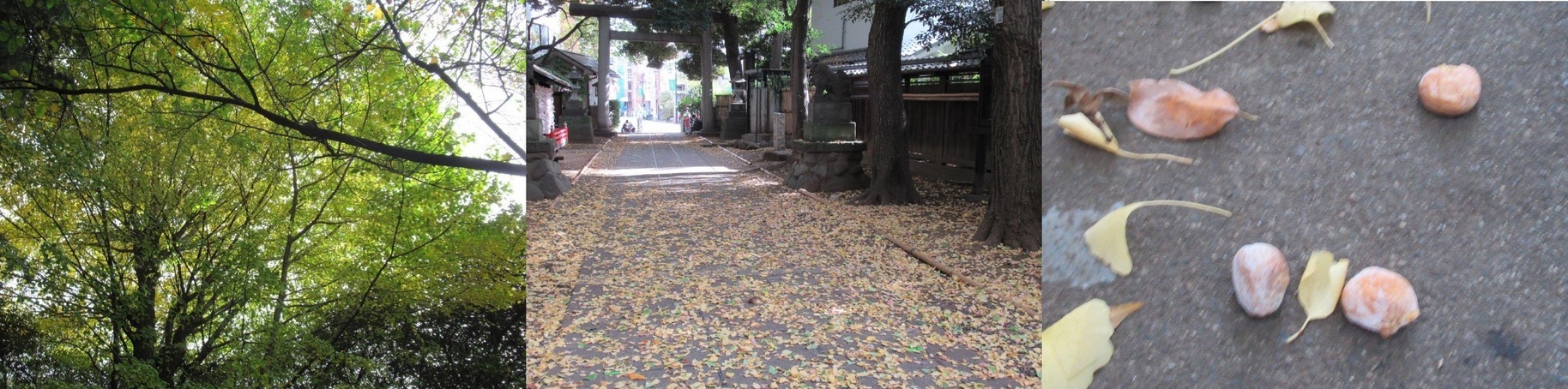 60�� �Ȃ�悤�ɂȂ邳�I�Ȃ�Ƃ��Ȃ邳�I�Ȃ�Ƃ����邳�I