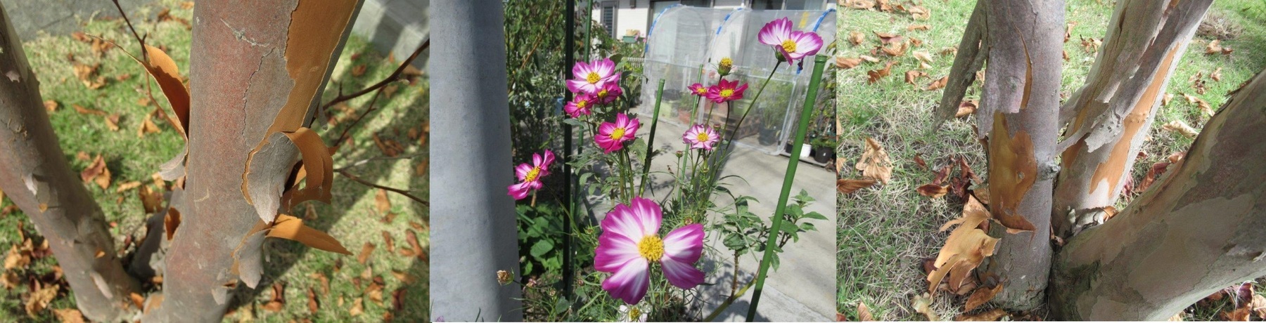 60�� �Ȃ�悤�ɂȂ邳�I�Ȃ�Ƃ��Ȃ邳�I�Ȃ�Ƃ����邳�I