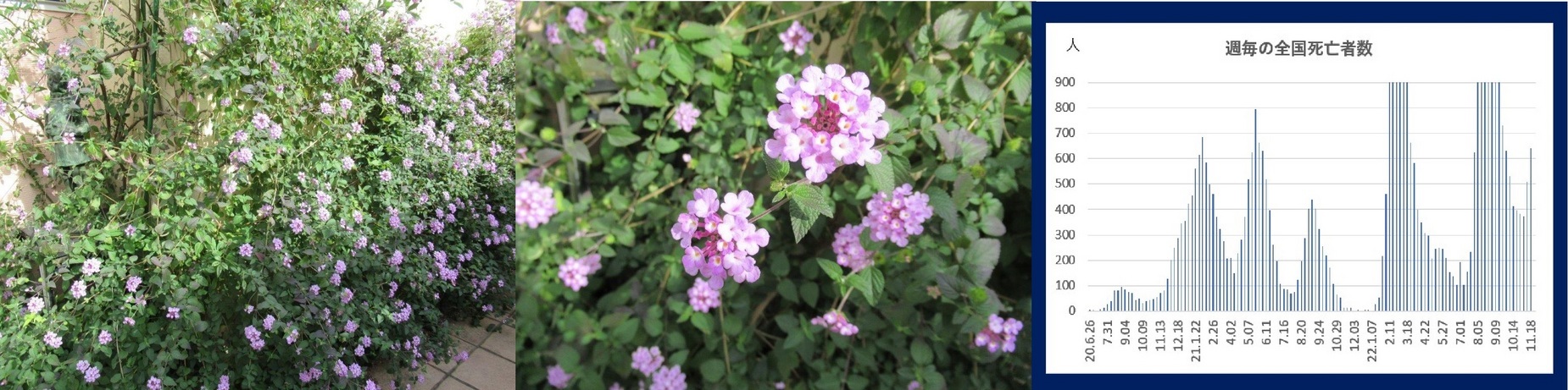 60�� �Ȃ�悤�ɂȂ邳�I�Ȃ�Ƃ��Ȃ邳�I�Ȃ�Ƃ����邳�I