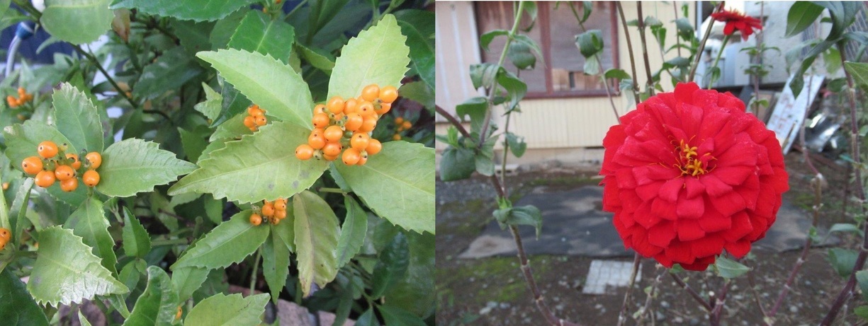 60�� �Ȃ�悤�ɂȂ邳�I�Ȃ�Ƃ��Ȃ邳�I�Ȃ�Ƃ����邳�I