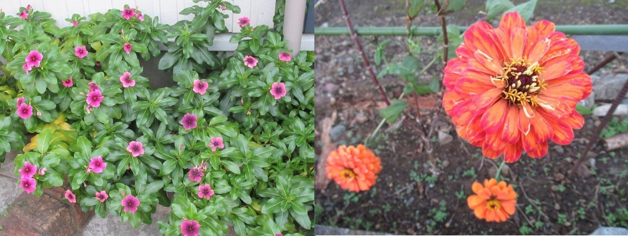 60�� �Ȃ�悤�ɂȂ邳�I�Ȃ�Ƃ��Ȃ邳�I�Ȃ�Ƃ����邳�I