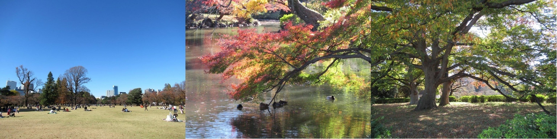 60�� �Ȃ�悤�ɂȂ邳�I�Ȃ�Ƃ��Ȃ邳�I�Ȃ�Ƃ����邳�I