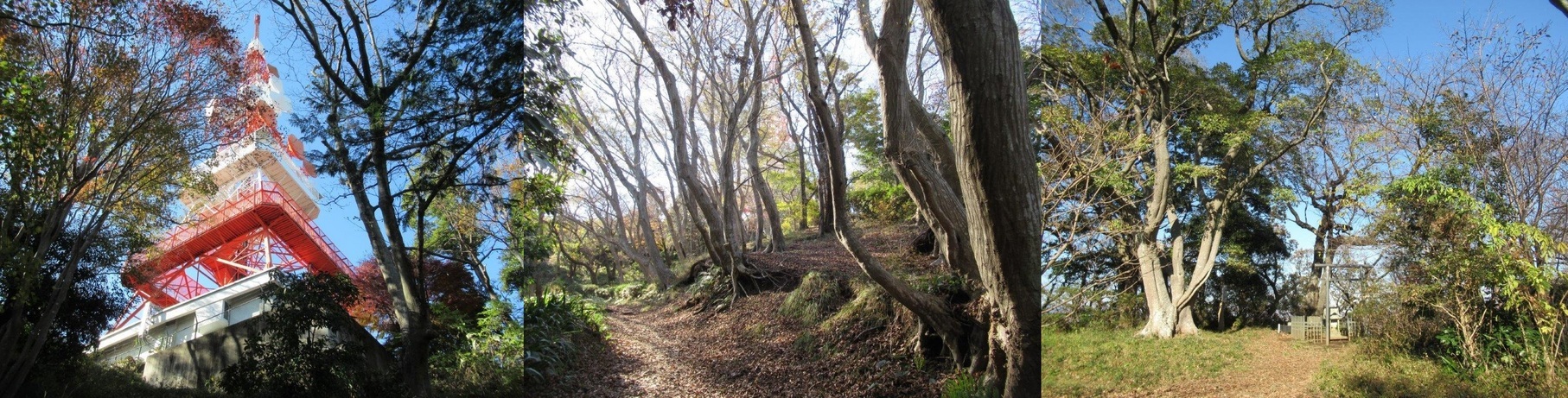 60�� �Ȃ�悤�ɂȂ邳�I�Ȃ�Ƃ��Ȃ邳�I�Ȃ�Ƃ����邳�I