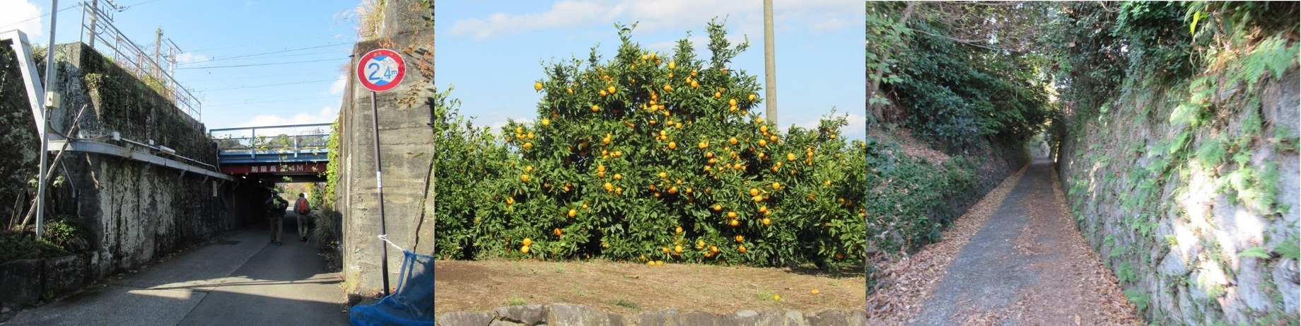 60�� �Ȃ�悤�ɂȂ邳�I�Ȃ�Ƃ��Ȃ邳�I�Ȃ�Ƃ����邳�I