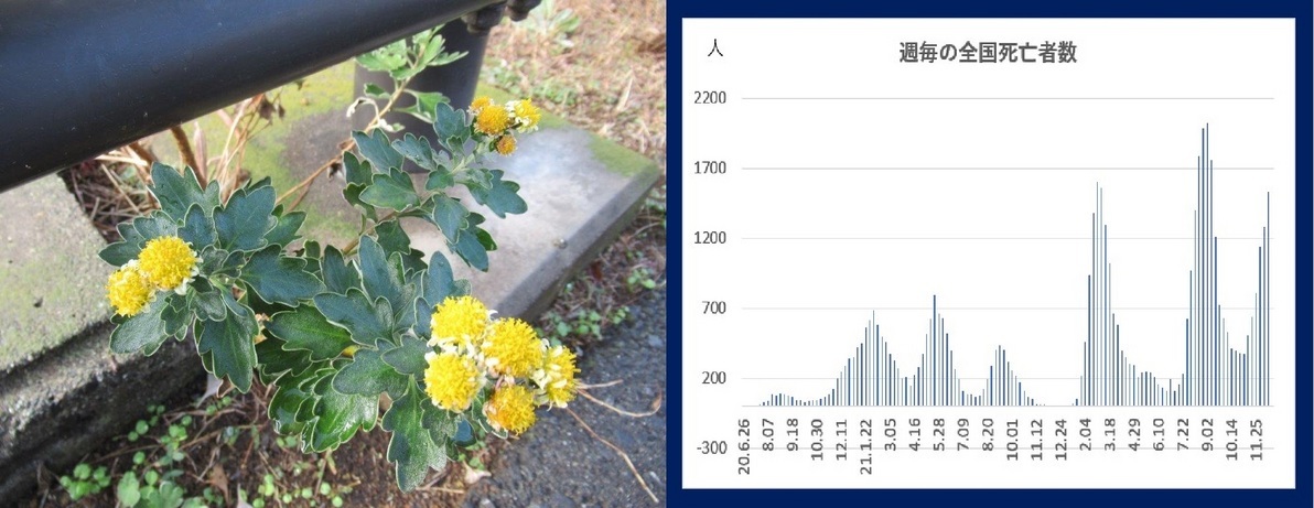 60�� �Ȃ�悤�ɂȂ邳�I�Ȃ�Ƃ��Ȃ邳�I�Ȃ�Ƃ����邳�I