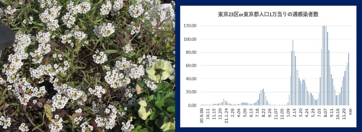 60�� �Ȃ�悤�ɂȂ邳�I�Ȃ�Ƃ��Ȃ邳�I�Ȃ�Ƃ����邳�I