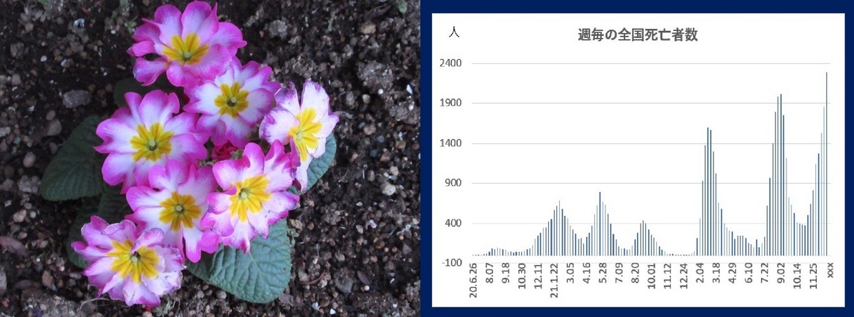 60�� �Ȃ�悤�ɂȂ邳�I�Ȃ�Ƃ��Ȃ邳�I�Ȃ�Ƃ����邳�I