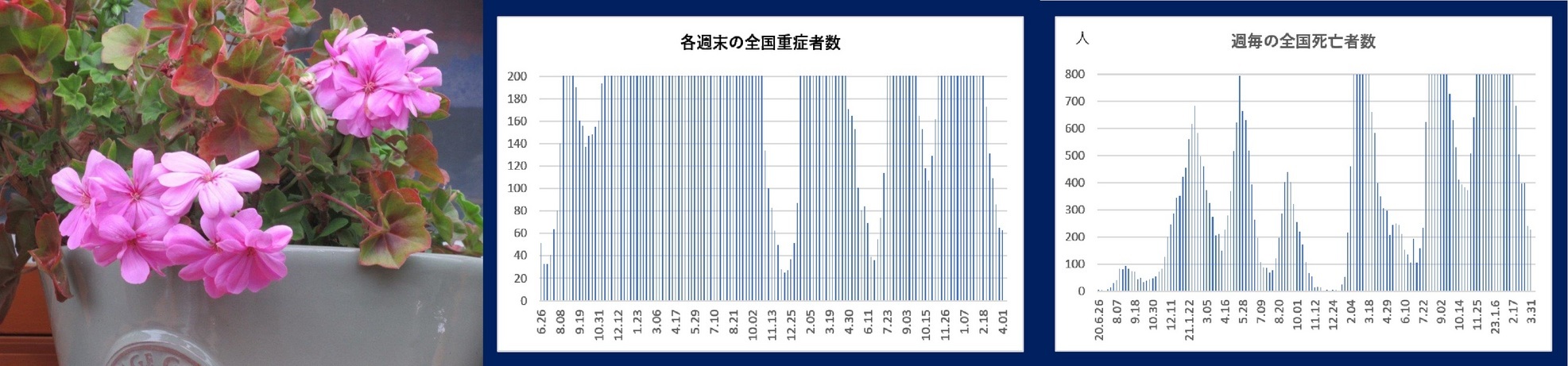 60 Ȃ悤ɂȂ邳IȂƂȂ邳IȂƂ邳I