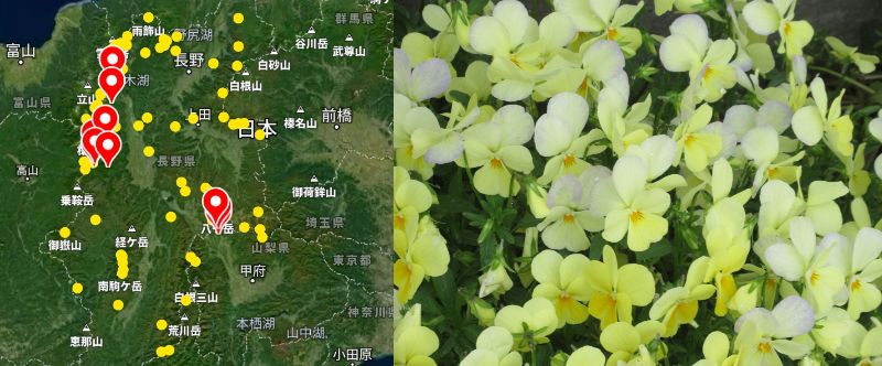 60 Ȃ悤ɂȂ邳IȂƂȂ邳IȂƂ邳I