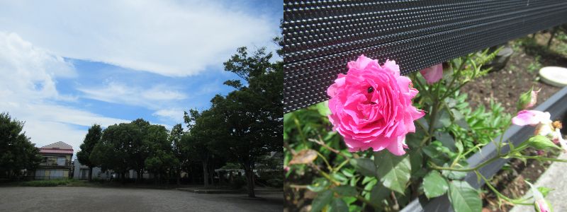 60 Ȃ悤ɂȂ邳IȂƂȂ邳IȂƂ邳I