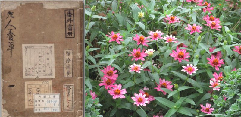 60 Ȃ悤ɂȂ邳IȂƂȂ邳IȂƂ邳I