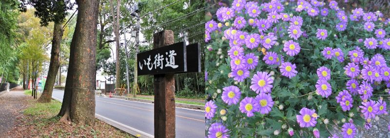 60 Ȃ悤ɂȂ邳IȂƂȂ邳IȂƂ邳I