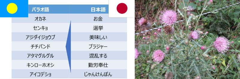 Vm炸ˁi60 Ȃ悤ɂȂ邳IȂƂȂ邳IȂƂ邳Ij