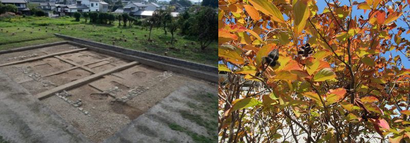 bti60 Ȃ悤ɂȂ邳IȂƂȂ邳IȂƂ邳Ij