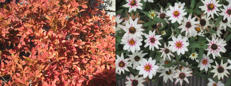 60 Ȃ悤ɂȂ邳IȂƂȂ邳IȂƂ邳I