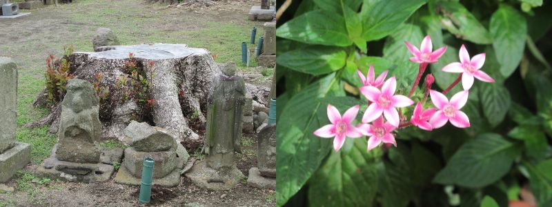 60 Ȃ悤ɂȂ邳IȂƂȂ邳IȂƂ邳I