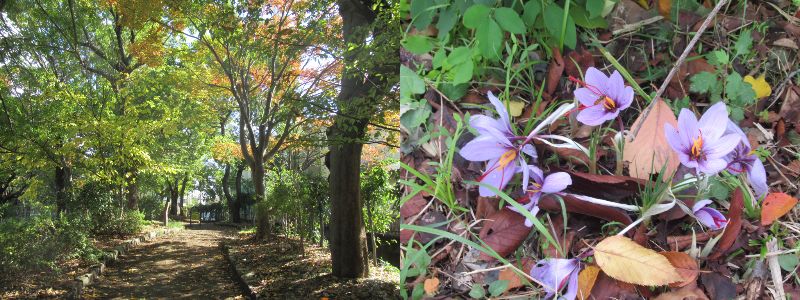 60 Ȃ悤ɂȂ邳IȂƂȂ邳IȂƂ邳I