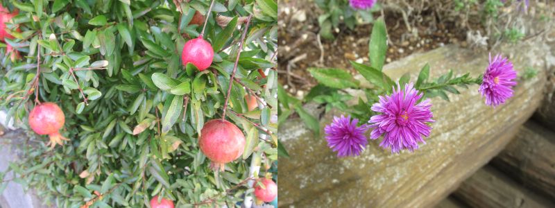 60 Ȃ悤ɂȂ邳IȂƂȂ邳IȂƂ邳I