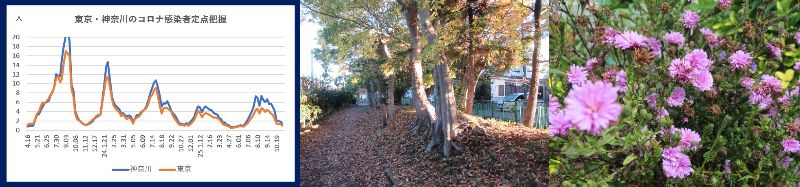 60 Ȃ悤ɂȂ邳IȂƂȂ邳IȂƂ邳I