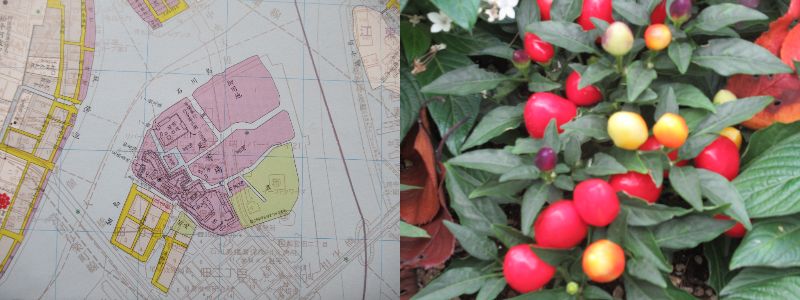 gt͂܂݂i60 Ȃ悤ɂȂ邳IȂƂȂ邳IȂƂ邳Ij