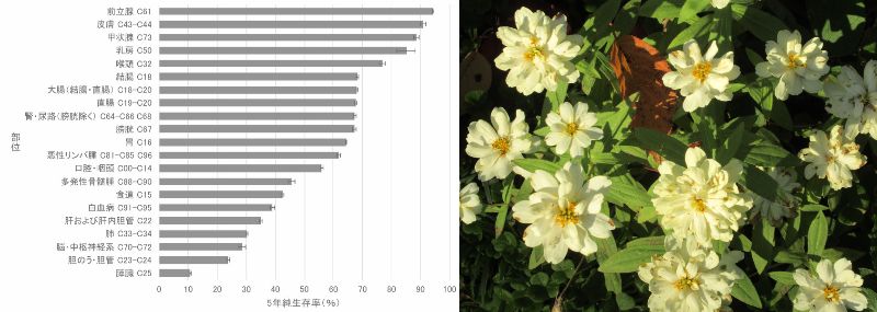 60 Ȃ悤ɂȂ邳IȂƂȂ邳IȂƂ邳I