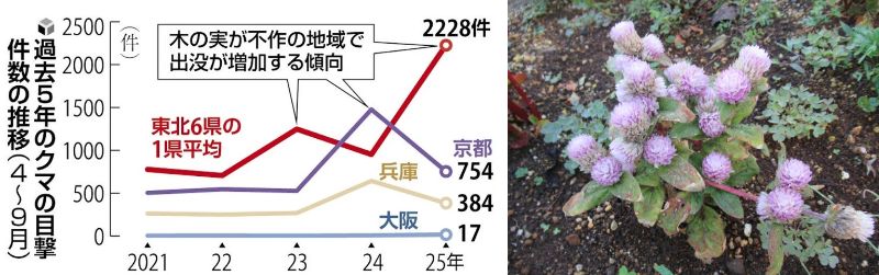 60 Ȃ悤ɂȂ邳IȂƂȂ邳IȂƂ邳I