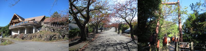 60 Ȃ悤ɂȂ邳IȂƂȂ邳IȂƂ邳I