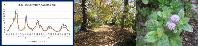 60 Ȃ悤ɂȂ邳IȂƂȂ邳IȂƂ邳I