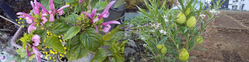 60 Ȃ悤ɂȂ邳IȂƂȂ邳IȂƂ邳I