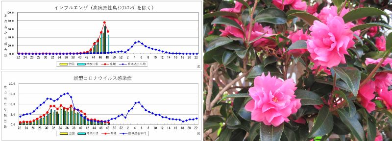 60 Ȃ悤ɂȂ邳IȂƂȂ邳IȂƂ邳I