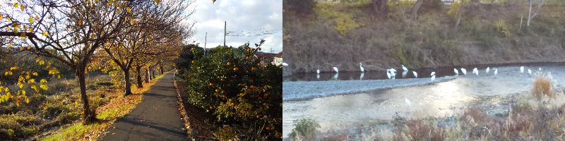 60 Ȃ悤ɂȂ邳IȂƂȂ邳IȂƂ邳I