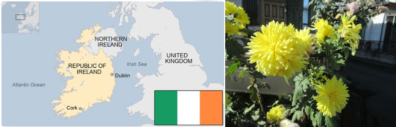 60 Ȃ悤ɂȂ邳IȂƂȂ邳IȂƂ邳I