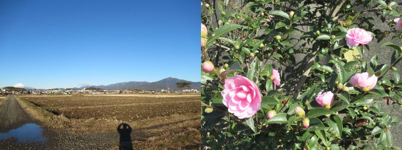 эł܂悤i60 Ȃ悤ɂȂ邳IȂƂȂ邳IȂƂ邳Ij