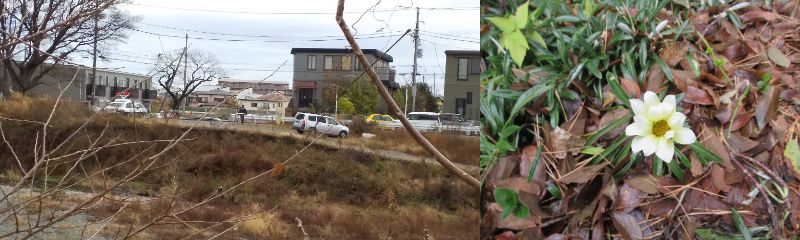 ��������قǂقǂɁi60�� �Ȃ�悤�ɂȂ邳�I�Ȃ�Ƃ��Ȃ邳�I�Ȃ�Ƃ����邳�I�j