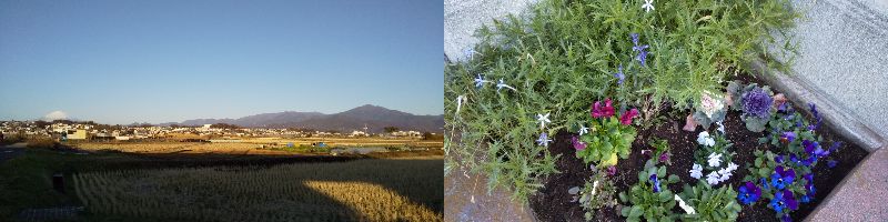 �Ȃ񂩕ςł͂���i60�� �Ȃ�悤�ɂȂ邳�I�Ȃ�Ƃ��Ȃ邳�I�Ȃ�Ƃ����邳�I�j