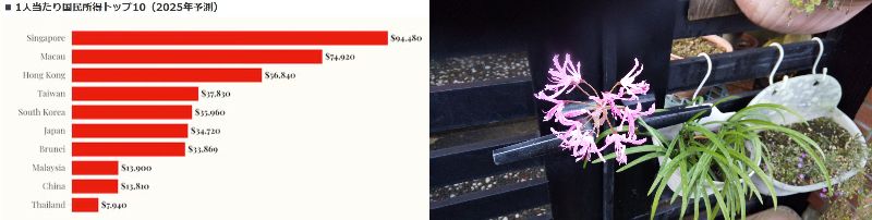 �Ȃ��肻�����i60�� �Ȃ�悤�ɂȂ邳�I�Ȃ�Ƃ��Ȃ邳�I�Ȃ�Ƃ����邳�I�j