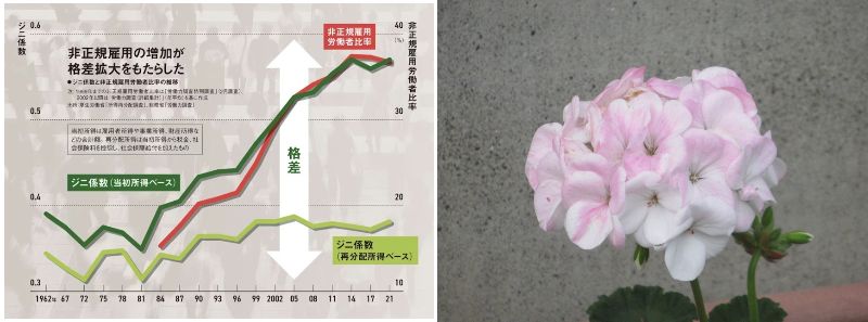 �������Ǖ����̑|���i60�� �Ȃ�悤�ɂȂ邳�I�Ȃ�Ƃ��Ȃ邳�I�Ȃ�Ƃ����邳�I�j