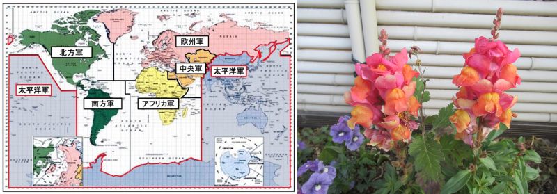 ���j����΂邼�I�i60�� �Ȃ�悤�ɂȂ邳�I�Ȃ�Ƃ��Ȃ邳�I�Ȃ�Ƃ����邳�I�j