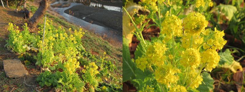 60�� �Ȃ�悤�ɂȂ邳�I�Ȃ�Ƃ��Ȃ邳�I�Ȃ�Ƃ����邳�I