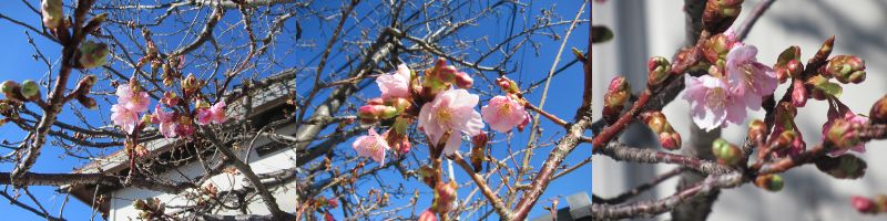 60�� �Ȃ�悤�ɂȂ邳�I�Ȃ�Ƃ��Ȃ邳�I�Ȃ�Ƃ����邳�I