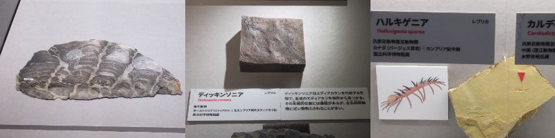 60�� �Ȃ�悤�ɂȂ邳�I�Ȃ�Ƃ��Ȃ邳�I�Ȃ�Ƃ����邳�I