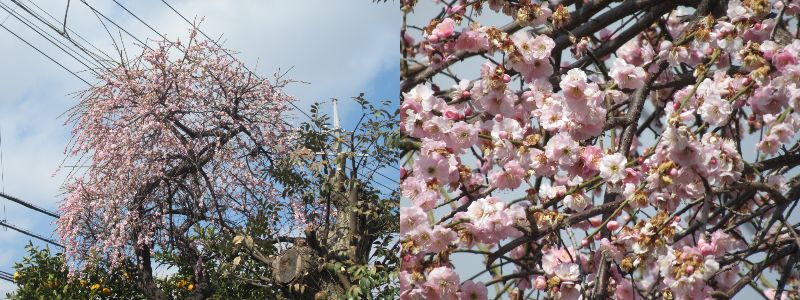 60�� �Ȃ�悤�ɂȂ邳�I�Ȃ�Ƃ��Ȃ邳�I�Ȃ�Ƃ����邳�I