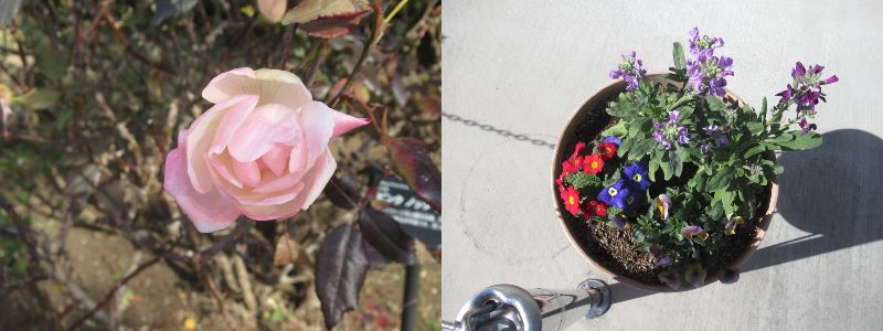 60�� �Ȃ�悤�ɂȂ邳�I�Ȃ�Ƃ��Ȃ邳�I�Ȃ�Ƃ����邳�I