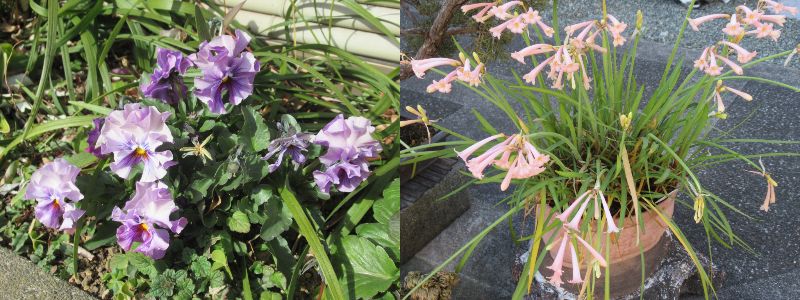 60�� �Ȃ�悤�ɂȂ邳�I�Ȃ�Ƃ��Ȃ邳�I�Ȃ�Ƃ����邳�I