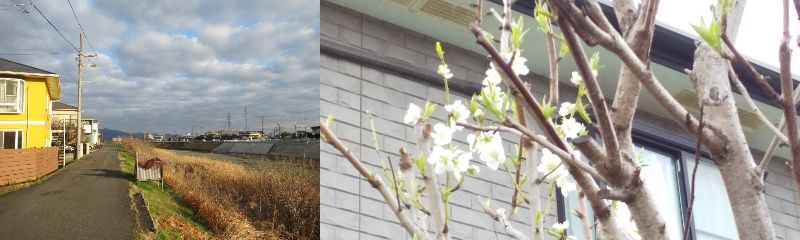 60�� �Ȃ�悤�ɂȂ邳�I�Ȃ�Ƃ��Ȃ邳�I�Ȃ�Ƃ����邳�I