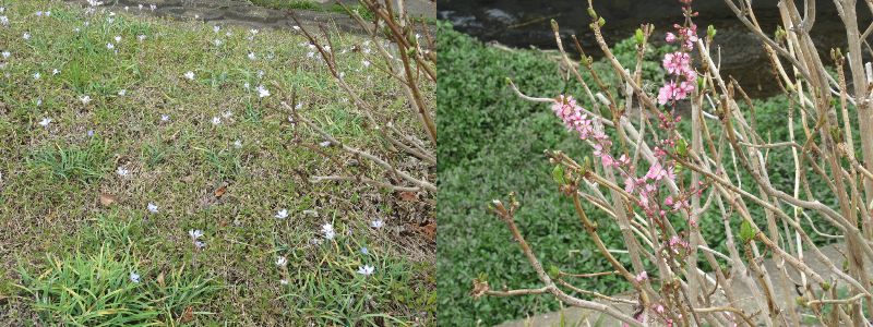 60�� �Ȃ�悤�ɂȂ邳�I�Ȃ�Ƃ��Ȃ邳�I�Ȃ�Ƃ����邳�I